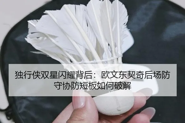 独行侠双星闪耀背后：欧文东契奇后场防守协防短板如何破解