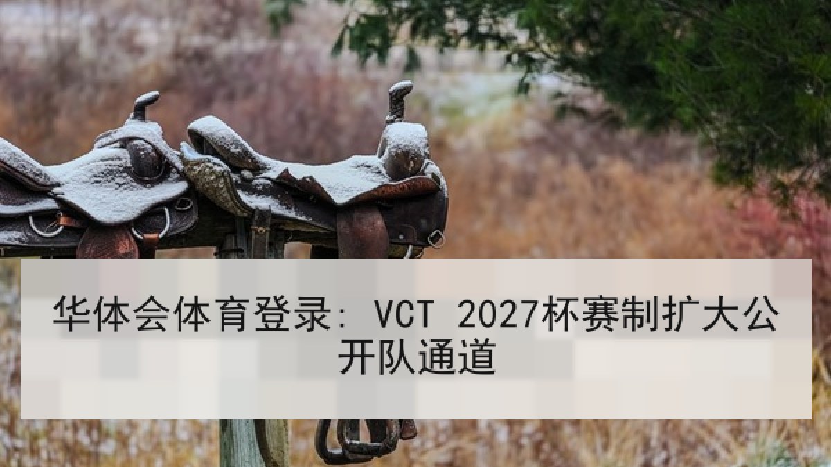 华体会体育登录: VCT 2027杯赛制扩大公开队通道 华体会体育登录: VCT 2027杯赛制扩大公开队通道