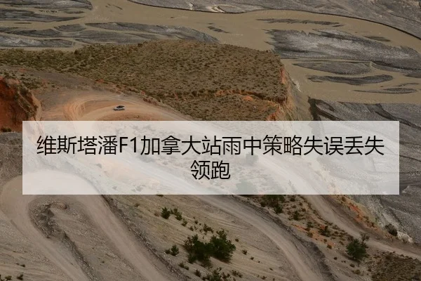 维斯塔潘F1加拿大站雨中策略失误丢失领跑