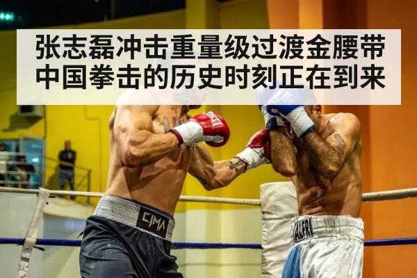 heavyweight boxing match